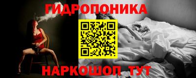 стафф Донской