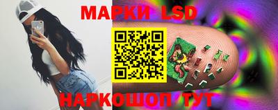 стафф Донской