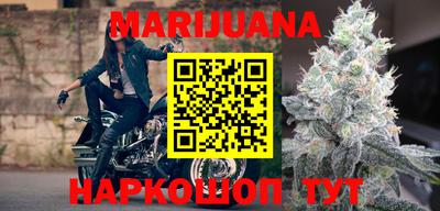 стафф Донской