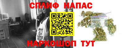 Альфа ПВП Донецк