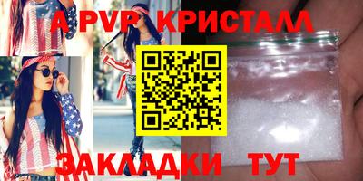 стафф Донской