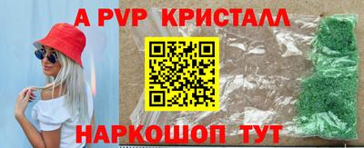 стафф Донской