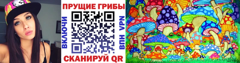 KRAKEN как войти  Новоуральск  Псилоцибиновые грибы MAGIC MUSHROOMS 