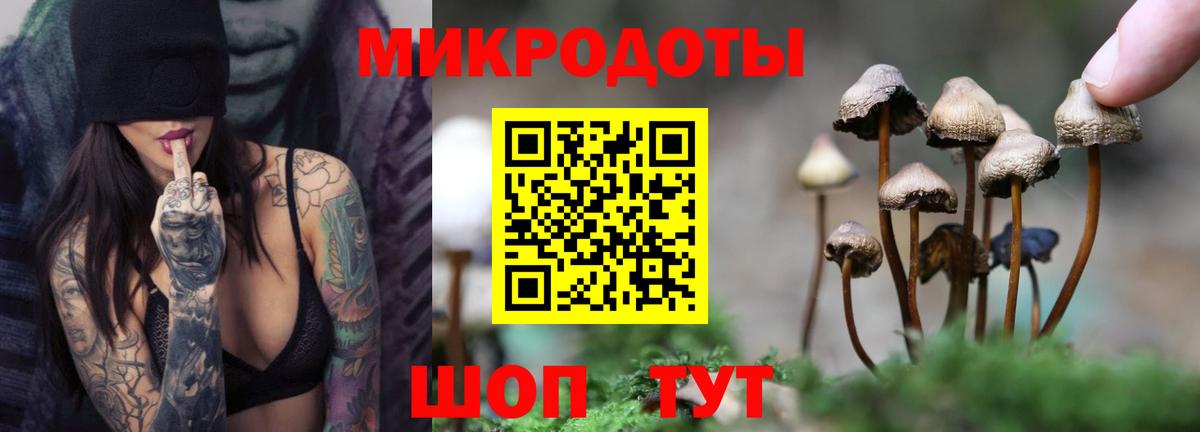 Новоуральск  Псилоцибиновые грибы GOLDEN TEACHER  Вход с VPN  Псилоцибиновые грибы Magic Shrooms 