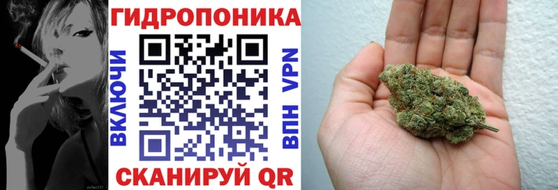мориарти наркотические препараты  купить закладку  Новоуральск  Канабис OG Kush 